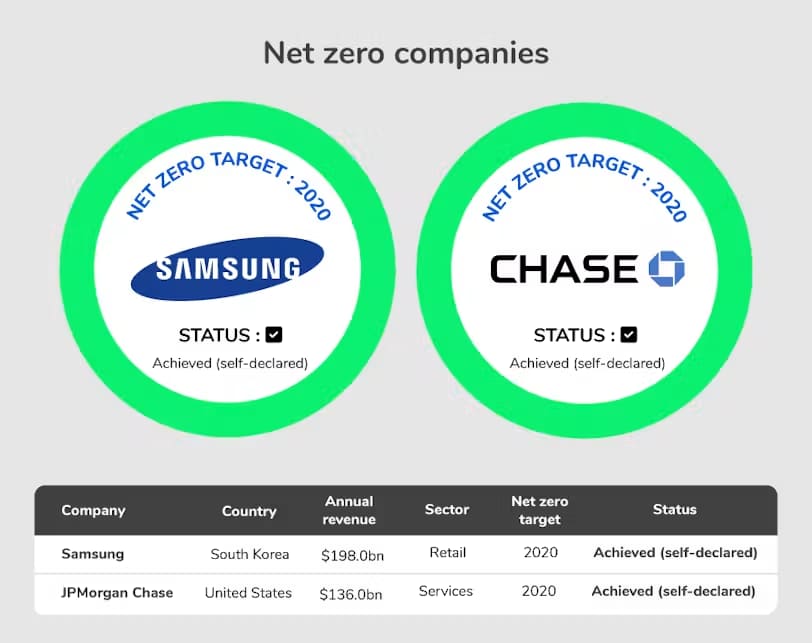 Net zero companies